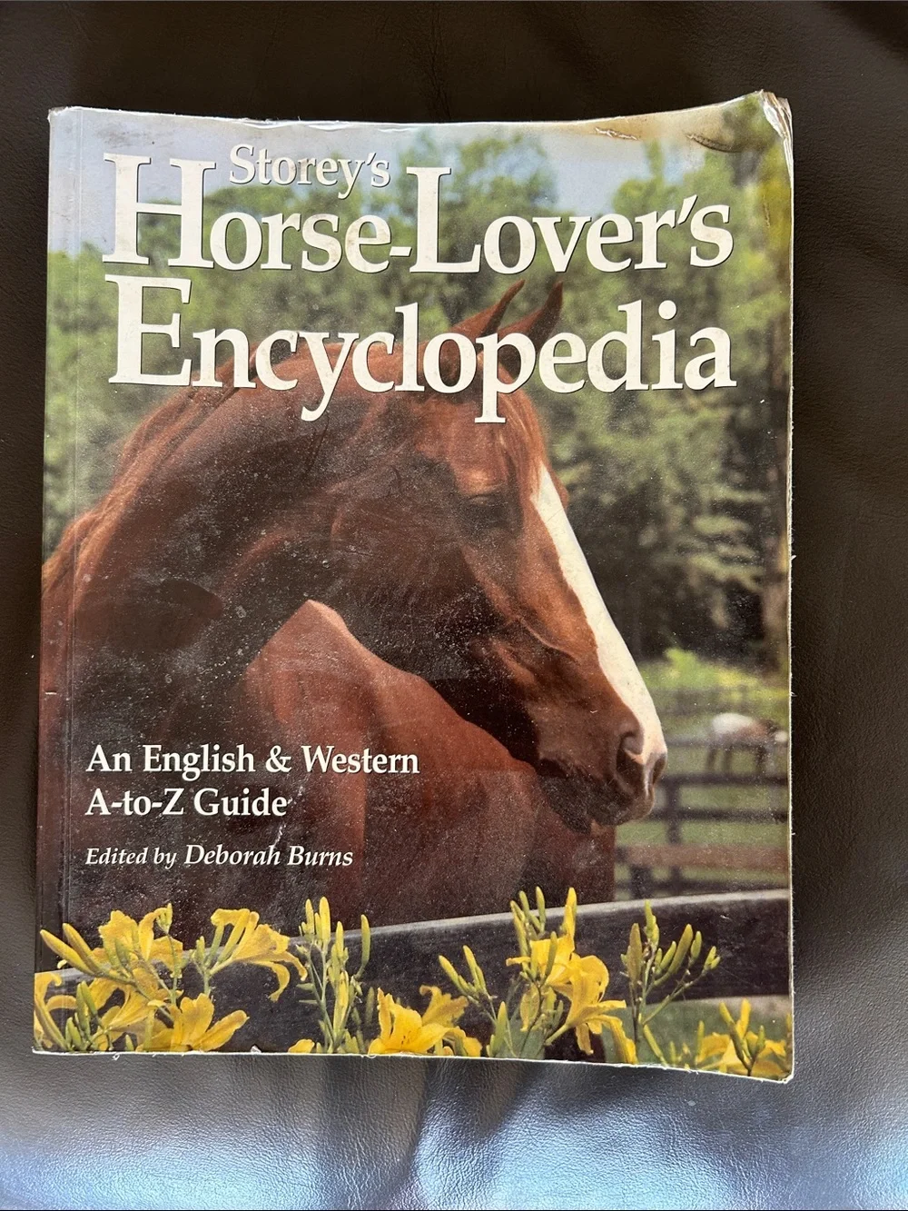 Horse-Lover's Encyclopedia - Brown Cover